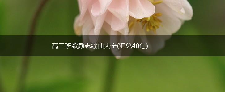 高三班歌励志歌曲大全(汇总40句),第1张
