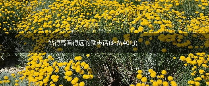 站得高看得远的励志话(必备40句),第1张