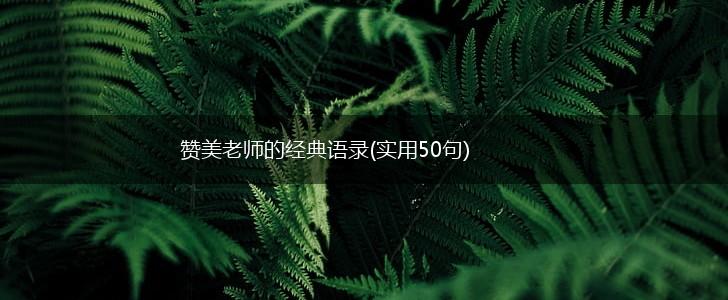 赞美老师的经典语录(实用50句),第1张