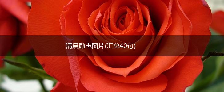 清晨励志图片(汇总40句),第1张