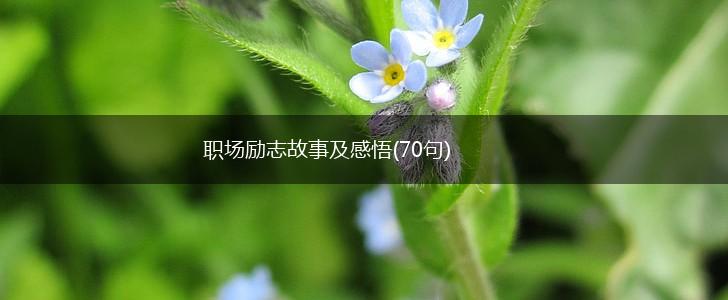 职场励志故事及感悟(70句),第1张
