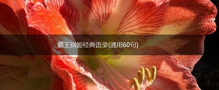 霸王别姬经典语录(通用60句),第1张