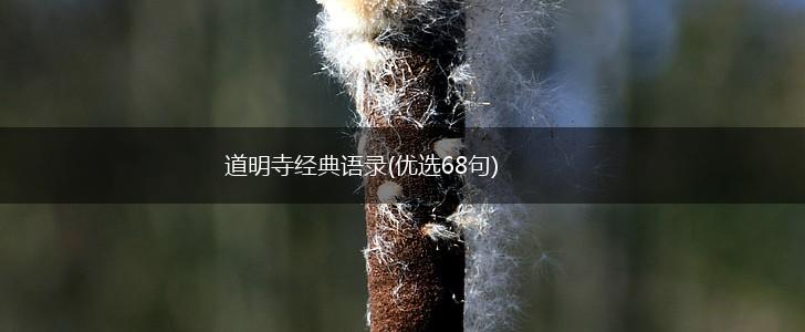 道明寺经典语录(优选68句),第1张
