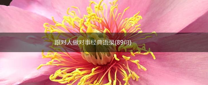 跟对人做对事经典语录(89句),第1张