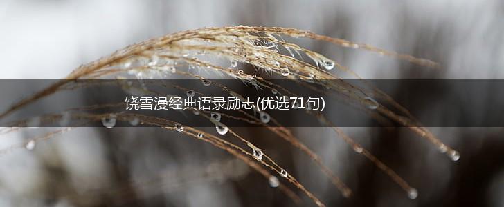 饶雪漫经典语录励志(优选71句),第1张