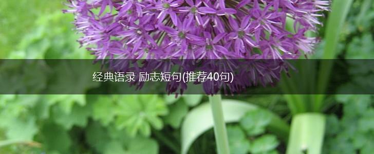 经典语录 励志短句(推荐40句),第1张