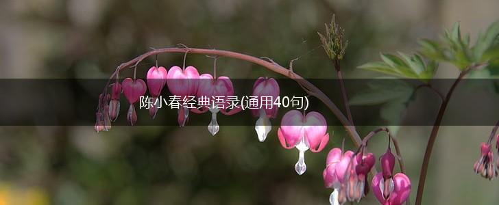 陈小春经典语录(通用40句),第1张