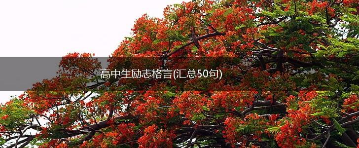 高中生励志格言(汇总50句),第1张