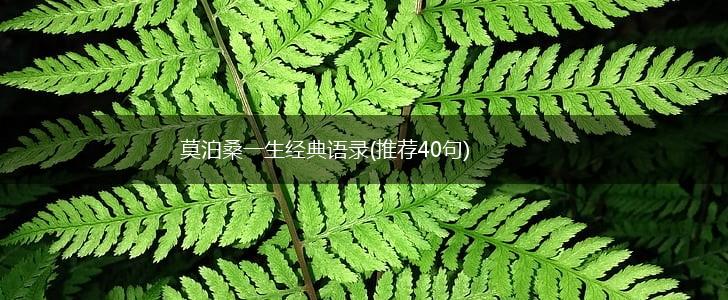 莫泊桑一生经典语录(推荐40句),第1张