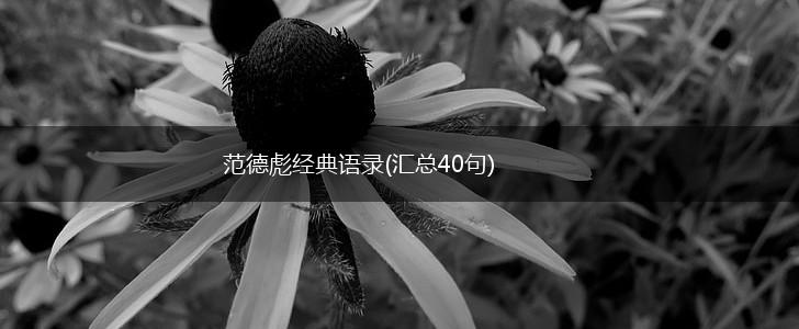 范德彪经典语录(汇总40句),第1张