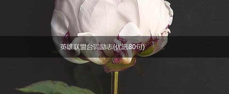英雄联盟台词励志(优选80句),第1张