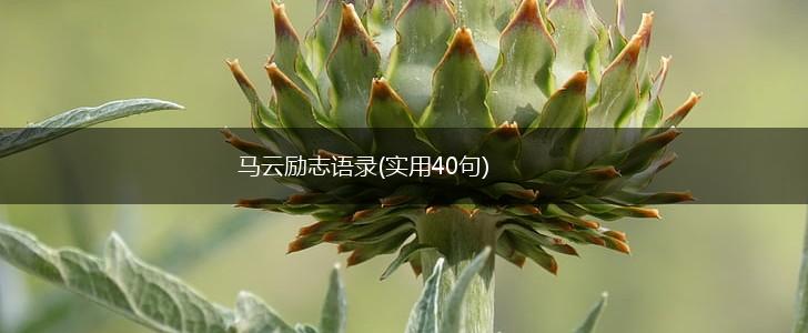 马云励志语录(实用40句),第1张