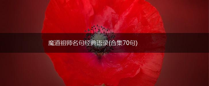 魔道祖师名句经典语录(合集70句),第1张