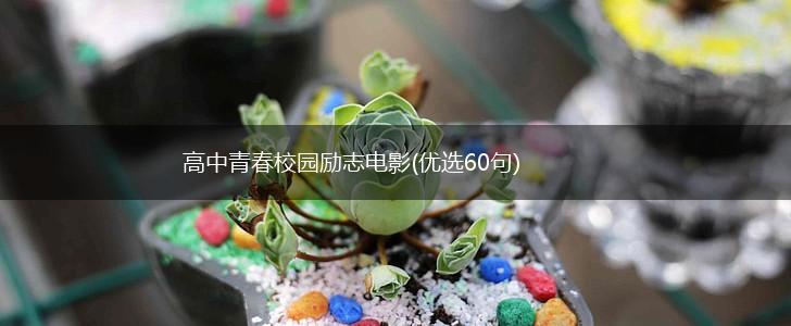 高中青春校园励志电影(优选60句),第1张