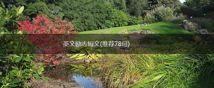 英文励志短文(推荐78句),第1张 英文励志短文(推荐78句),第1张