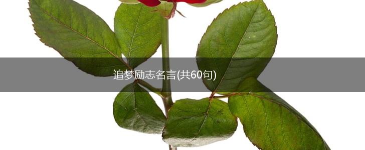 追梦励志名言(共60句),第1张
