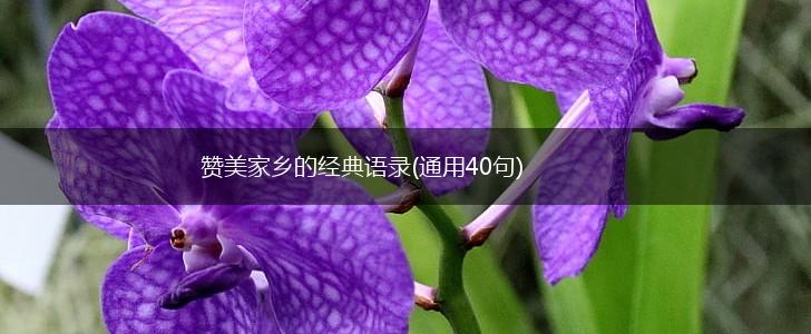 赞美家乡的经典语录(通用40句),第1张 赞美家乡的经典语录(通用40句),第1张