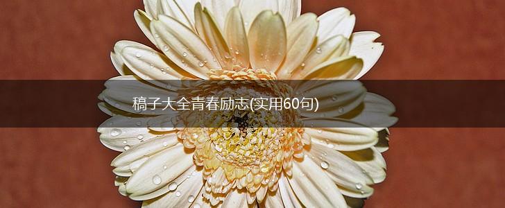 稿子大全青春励志(实用60句),第1张 稿子大全青春励志(实用60句),第1张