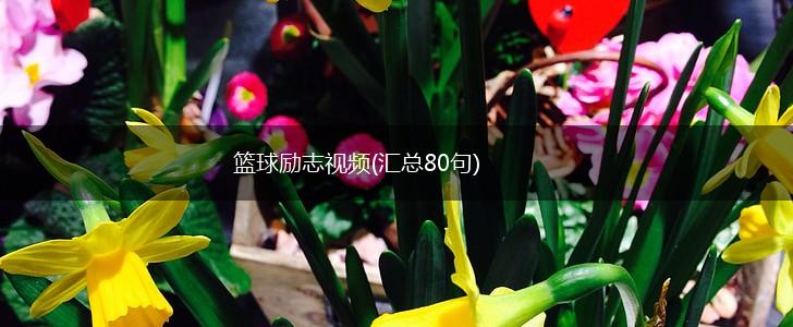 篮球励志视频(汇总80句),第1张