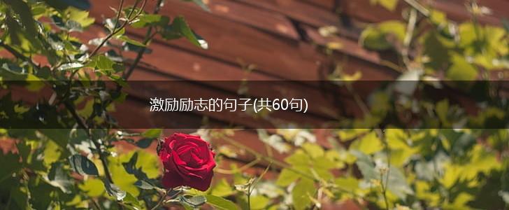 激励励志的句子(共60句),第1张 激励励志的句子(共60句),第1张