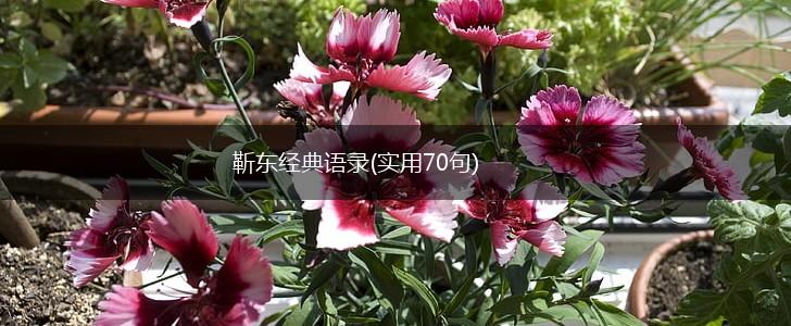 靳东经典语录(实用70句),第1张