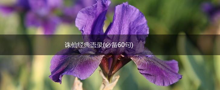 诛仙经典语录(必备60句),第1张