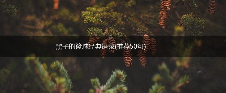 黑子的篮球经典语录(推荐50句),第1张