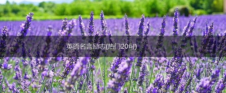 英语名言励志(热门20句),第1张