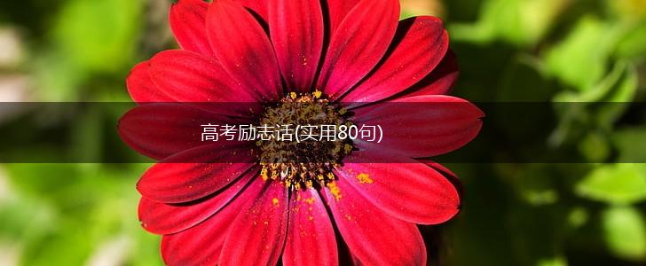 高考励志话(实用80句),第1张