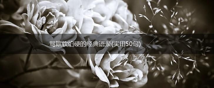 骂欺软怕硬的经典语录(实用50句),第1张