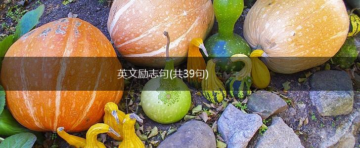 英文励志句(共39句),第1张