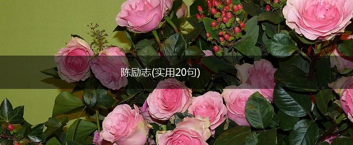陈励志(实用20句),第1张