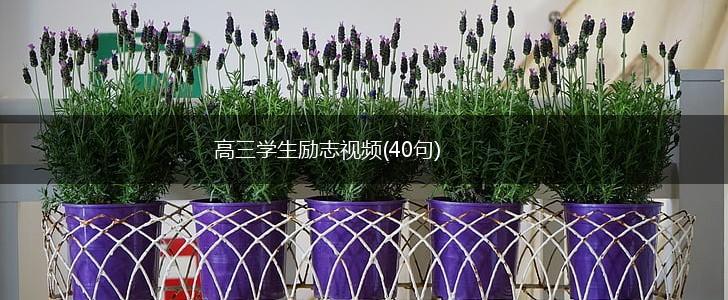 高三学生励志视频(40句),第1张