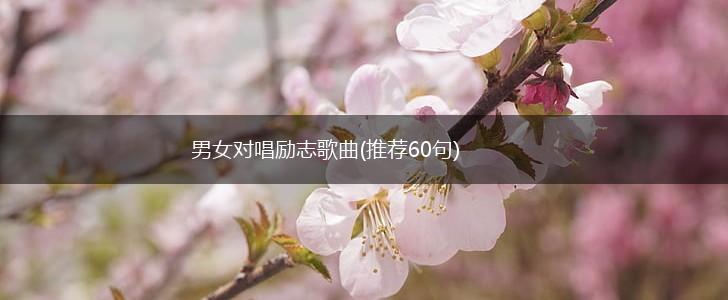 男女对唱励志歌曲(推荐60句),第1张