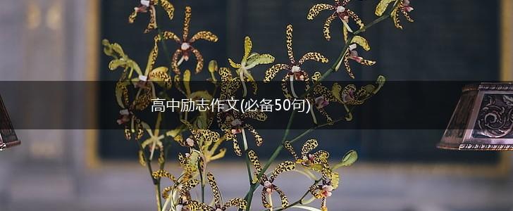 高中励志作文(必备50句),第1张