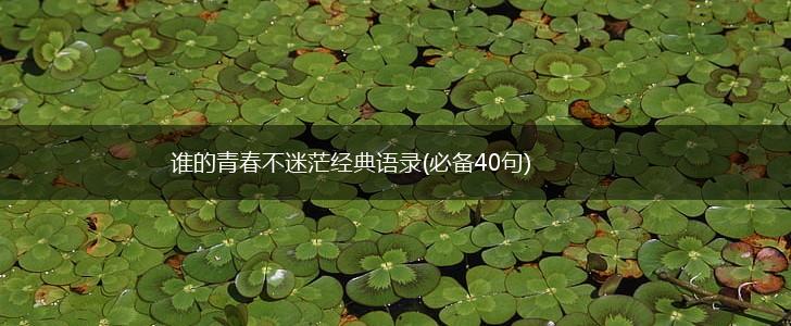 谁的青春不迷茫经典语录(必备40句),第1张