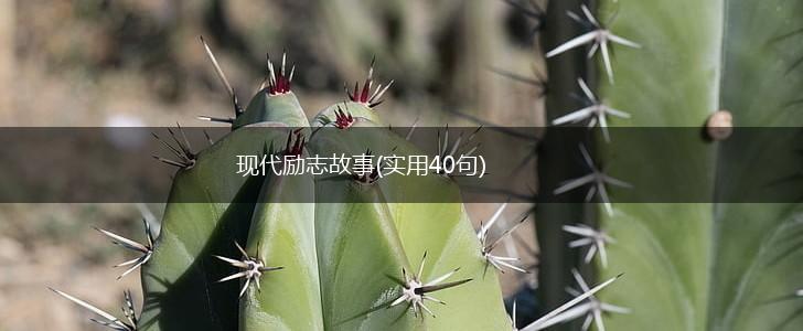 现代励志故事(实用40句),第1张 现代励志故事(实用40句),第1张
