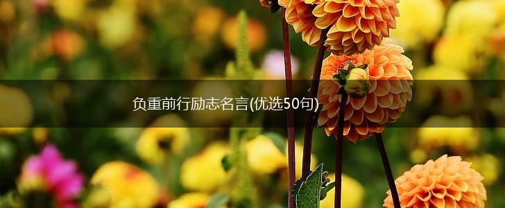 负重前行励志名言(优选50句),第1张