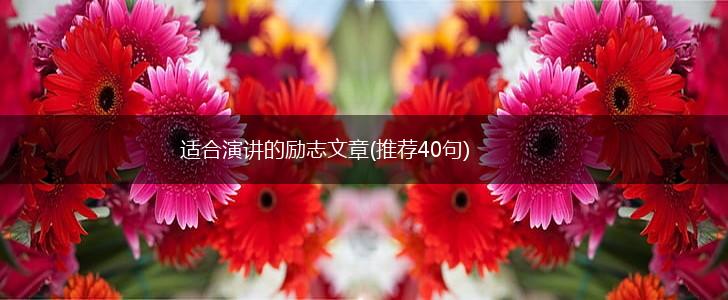 适合演讲的励志文章(推荐40句),第1张