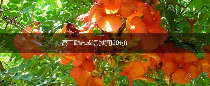 高三励志成语(实用20句),第1张