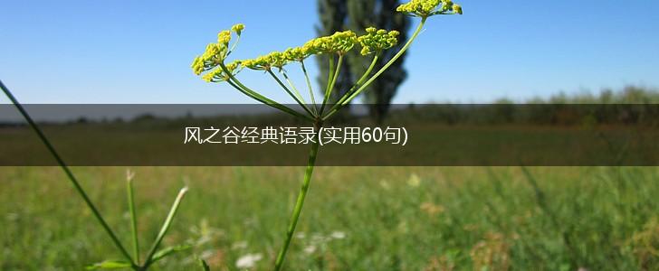 风之谷经典语录(实用60句),第1张