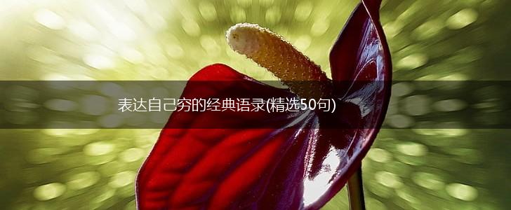 表达自己穷的经典语录(精选50句),第1张