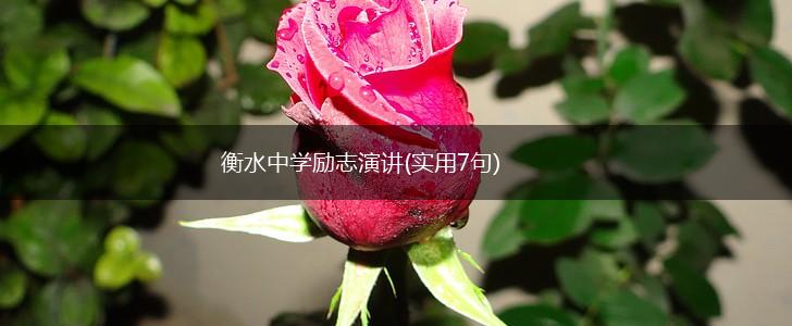 衡水中学励志演讲(实用7句),第1张