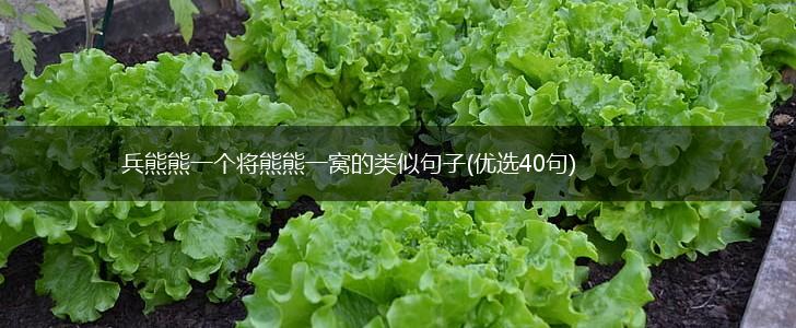 兵熊熊一个将熊熊一窝的类似句子(优选40句),第1张 兵熊熊一个将熊熊一窝的类似句子(优选40句),第1张