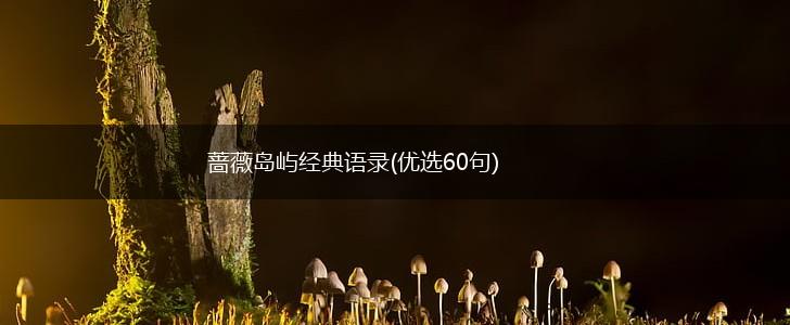 蔷薇岛屿经典语录(优选60句),第1张 蔷薇岛屿经典语录(优选60句),第1张