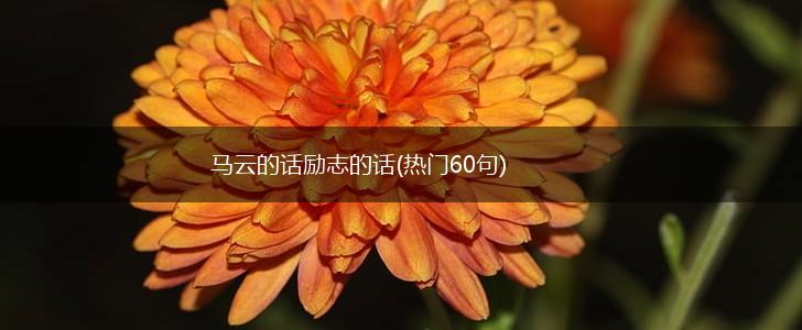 马云的话励志的话(热门60句),第1张