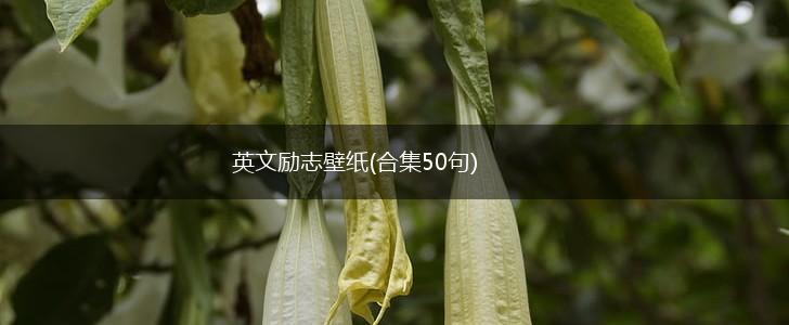 英文励志壁纸(合集50句),第1张 英文励志壁纸(合集50句),第1张