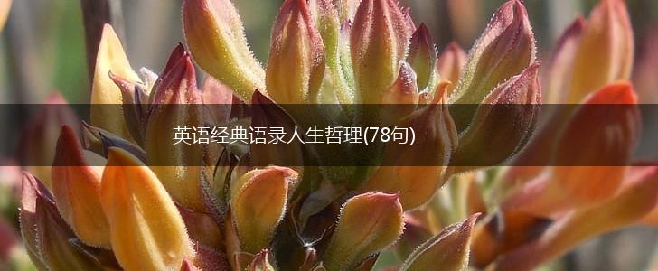 英语经典语录人生哲理(78句),第1张