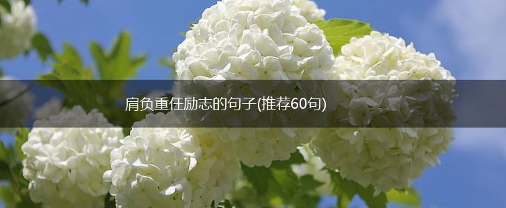 肩负重任励志的句子(推荐60句),第1张 肩负重任励志的句子(推荐60句),第1张