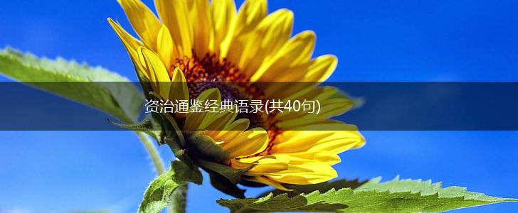 资治通鉴经典语录(共40句),第1张